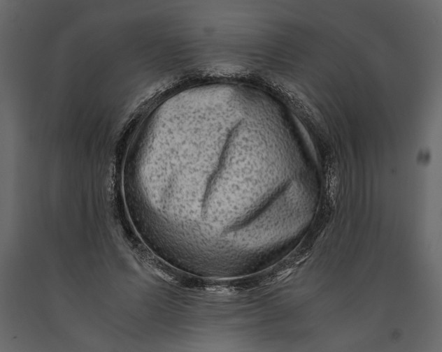 X0000091060591200708271157