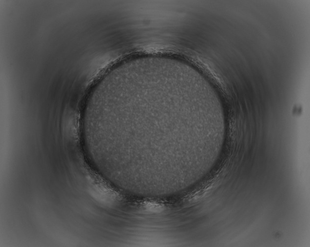 X0000091060592200708271157