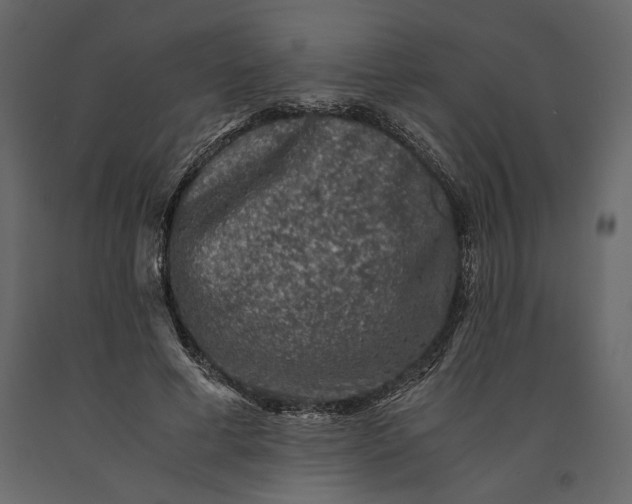 X0000091060593200708271157
