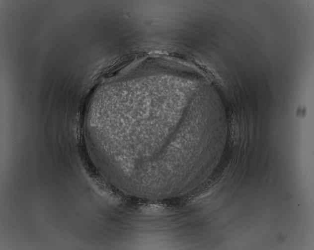 X0000091060594200708271157