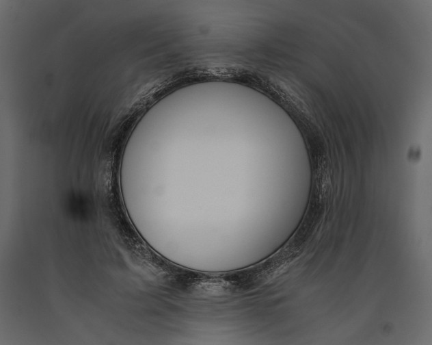 X0000091060595200708271157