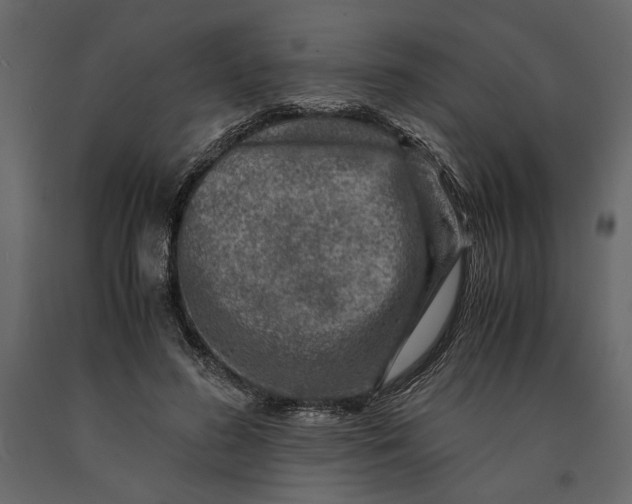 X0000091060596200708271157