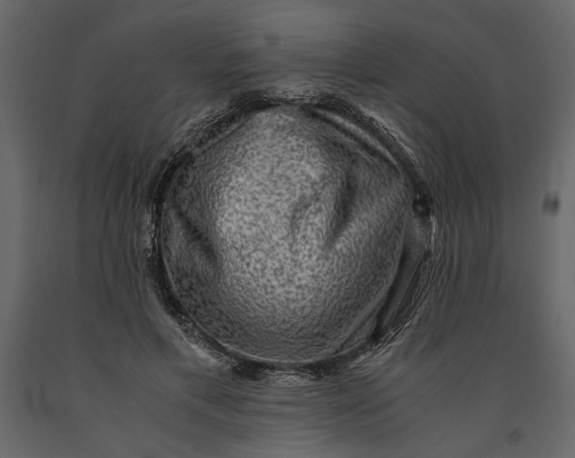 X0000091060597200708271157