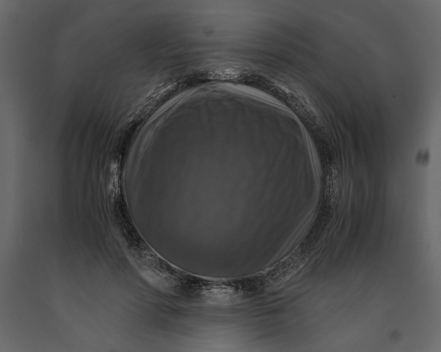 X0000091060598200708271157