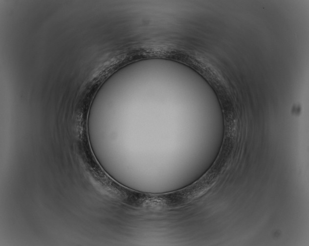 X0000091060599200708271157