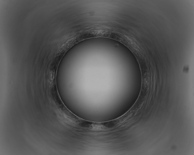 X0000091060605200708271157