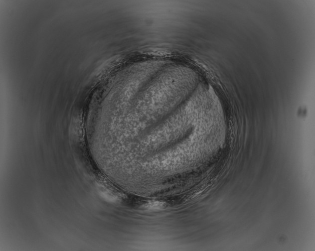 X0000091060609200708271157