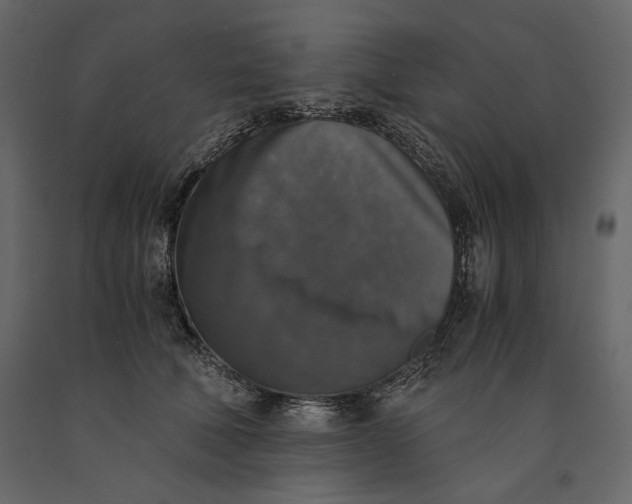 X0000091060610200708271157