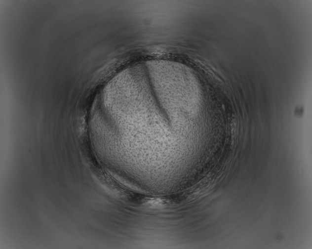 X0000091060611200708271157