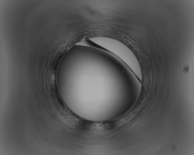 X0000091060613200708271157