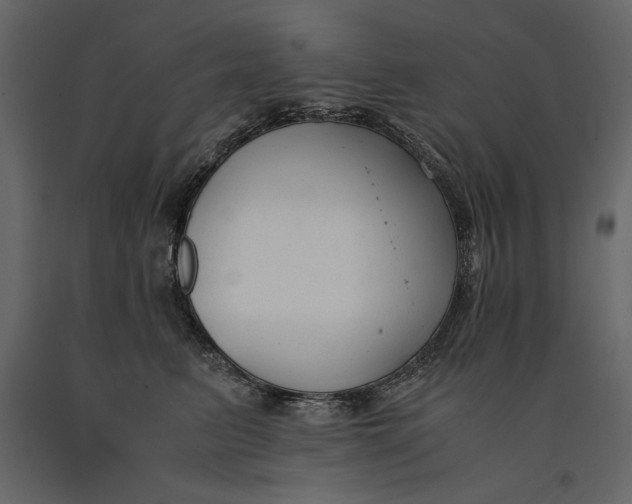 X0000091060615200708271157