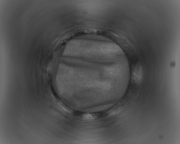 X0000091060616200708271157