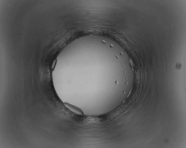 X0000091060617200708271157