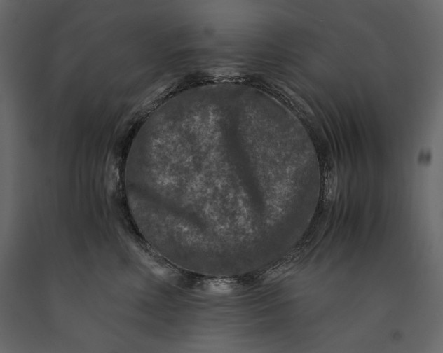 X0000091060618200708271157