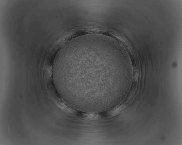 X0000091060621200708271157