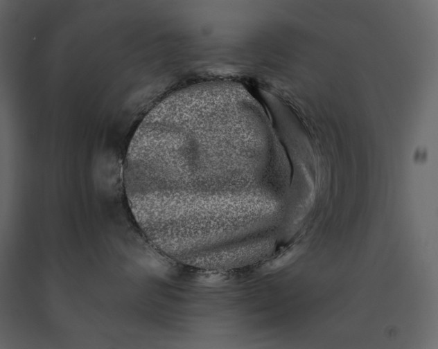 X0000091060624200708271157