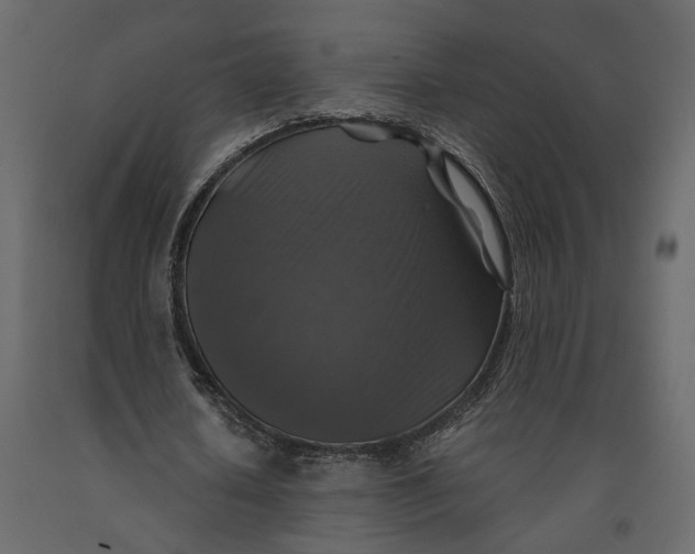 X0000091060626200708271156