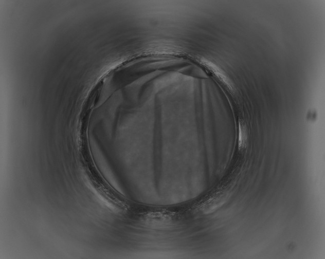 X0000091060627200708271156