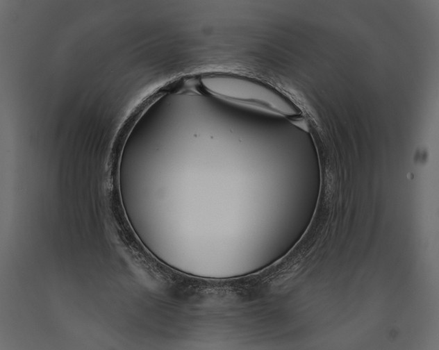 X0000091060628200708271156