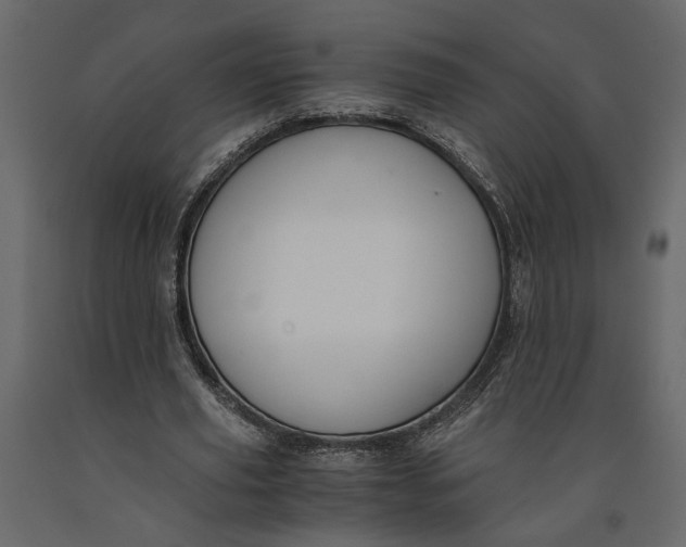 X0000091060629200708271156