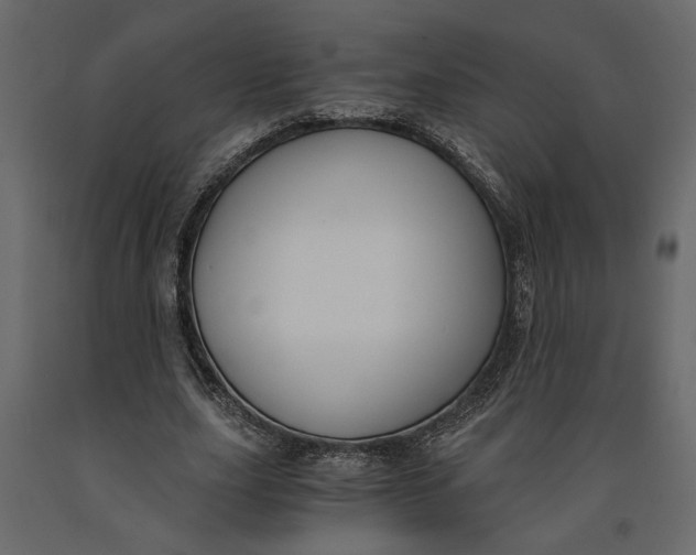 X0000091060631200708271156