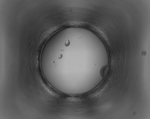 X0000091060633200708271156