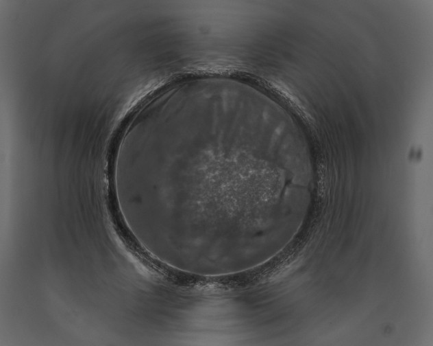 X0000091060634200708271156