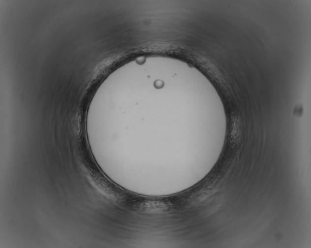 X0000091060636200708271156