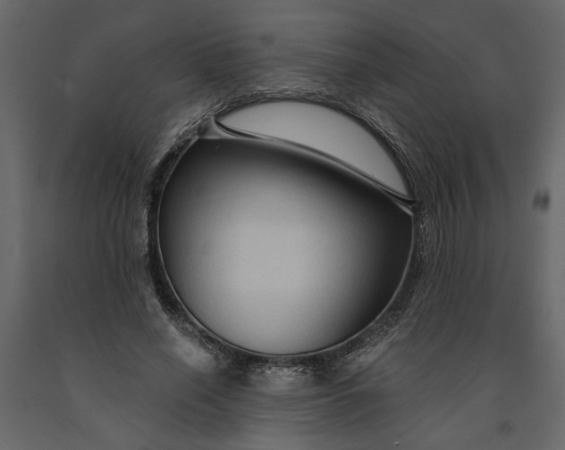X0000091060638200708271156