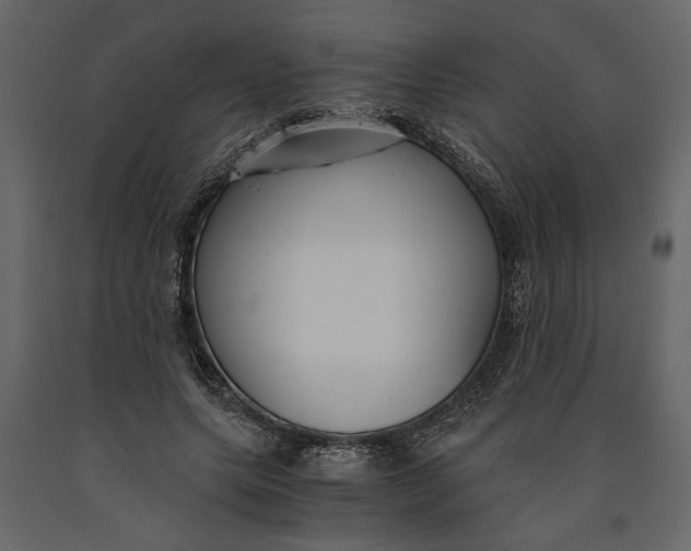 X0000091060639200708271156