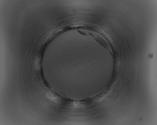X0000091060641200708271156
