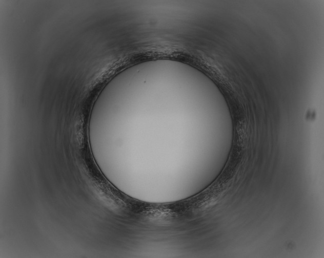 X0000091060642200708271156