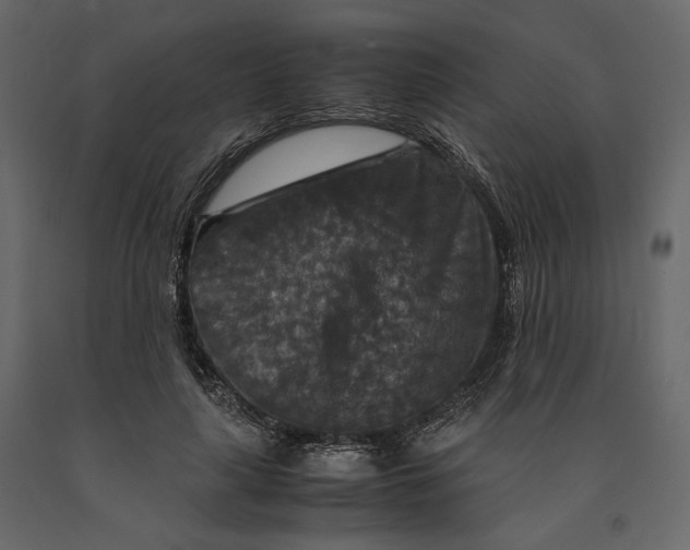 X0000091060643200708271156