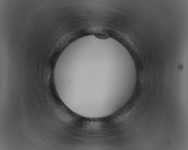 X0000091060645200708271156