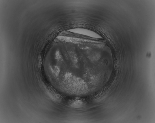 X0000091060647200708271156