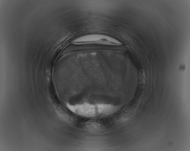 X0000091060648200708271156
