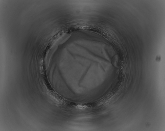 X0000091060650200708271156