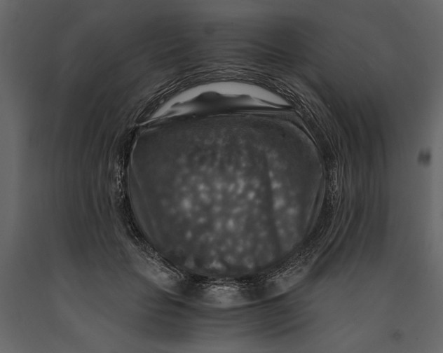X0000091060653200708271156