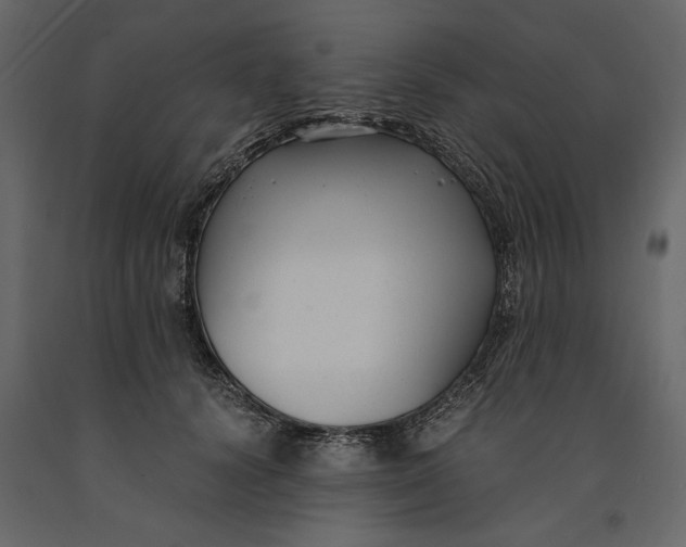 X0000091060656200708271156