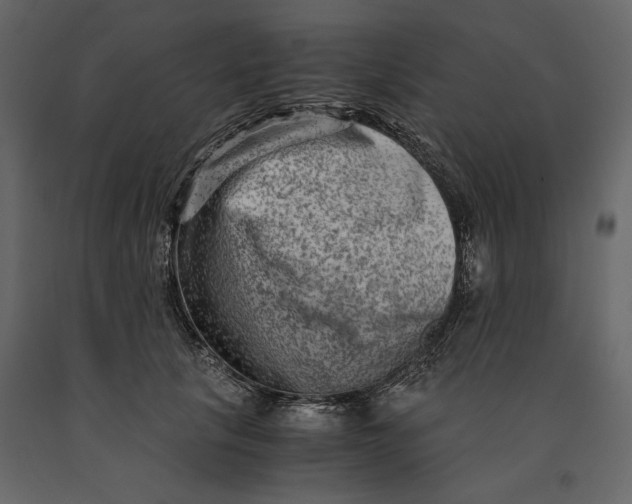 X0000091060657200708271156