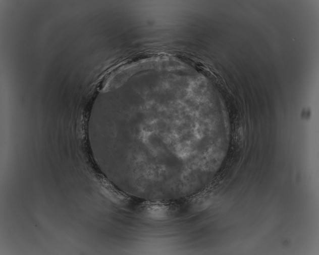 X0000091060658200708271156