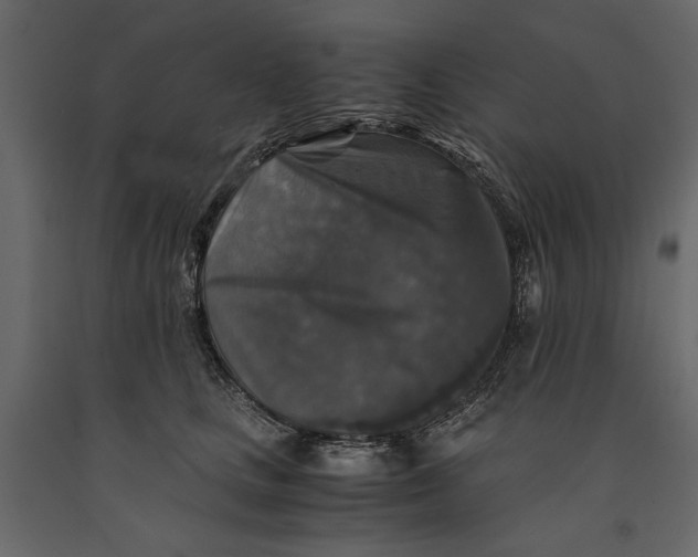X0000091060661200708271156