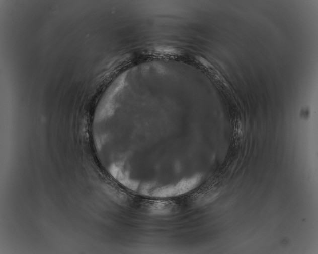 X0000091060663200708271156