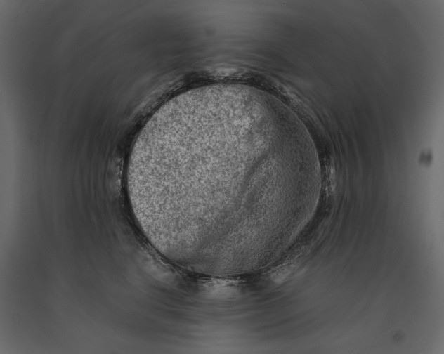 X0000091060664200708271156