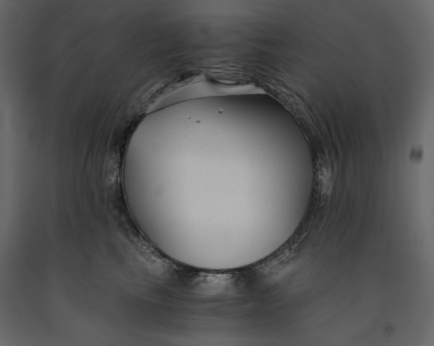 X0000091060665200708271156