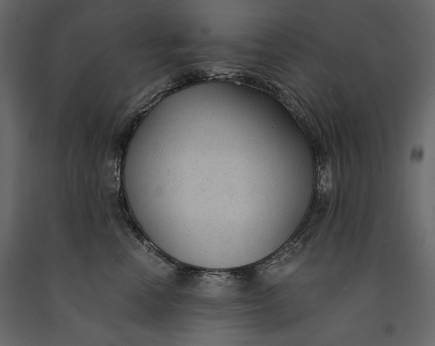 X0000091060666200708271156