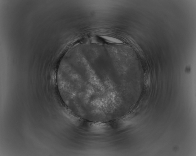 X0000091060669200708271156