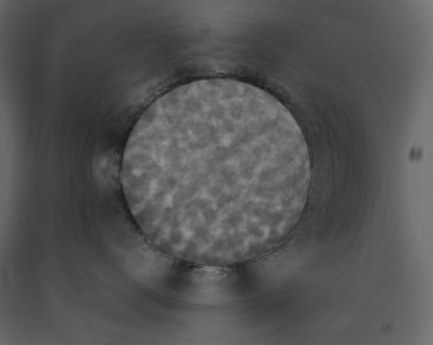 X0000091060672200708271157