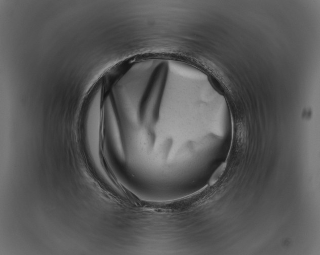 X0000091060676200708271156