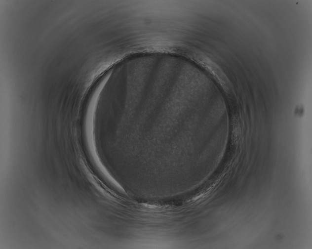 X0000091060677200708271156